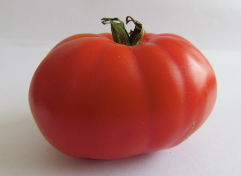 fruto tomate limachino