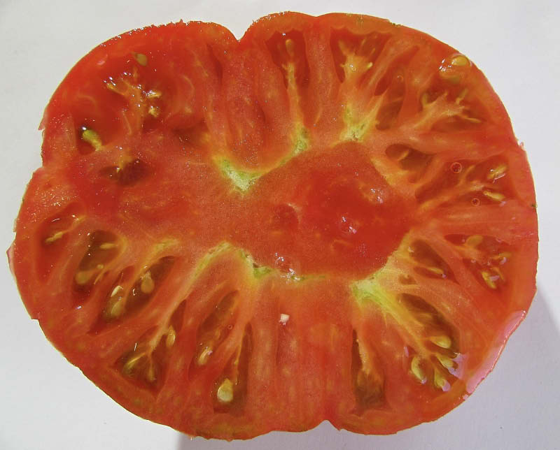 fruto tomate rosado